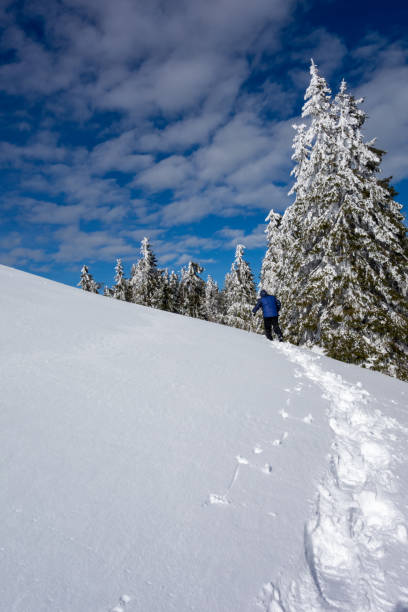 istock Winter Landscape 1825061293