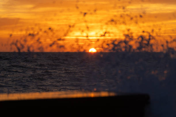 Sea waves splash with sunset background.