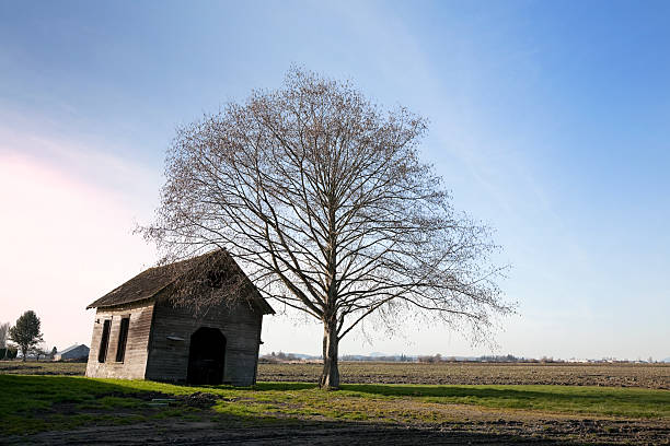 istock Farmland in Winter 182506360
