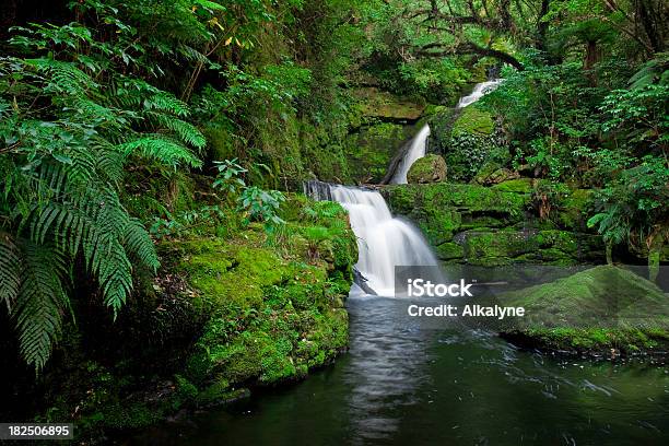 워터풀 열대 우림 속 New Zealand 뉴질랜드에 대한 스톡 사진 및 기타 이미지 - 뉴질랜드, 폭포, 숲