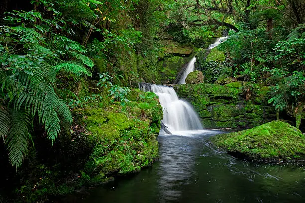Photo of Waterfall in the rainforest, New Zealand