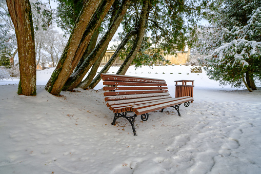 Two laughing friends sitting on a bench with a cup of coffee at the winter promenade