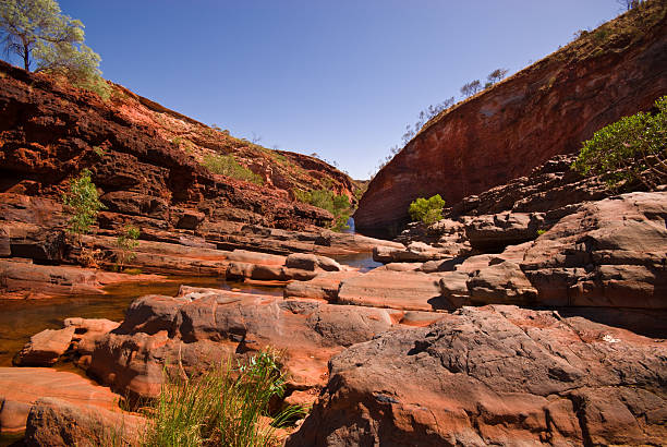 hamersley gorge - spinnifex - fotografias e filmes do acervo