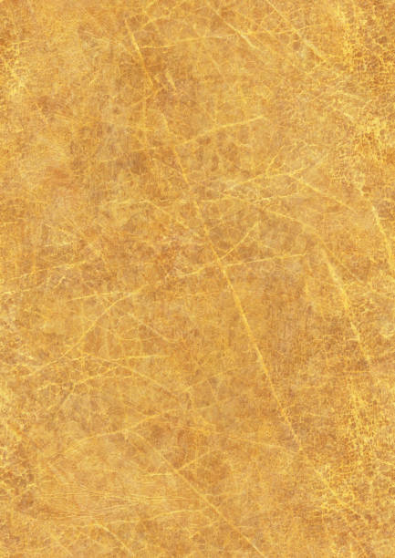 istock Animal Skin Parchment (Vellum) High Resolution Seamless Grunge Texture Tile 182507535