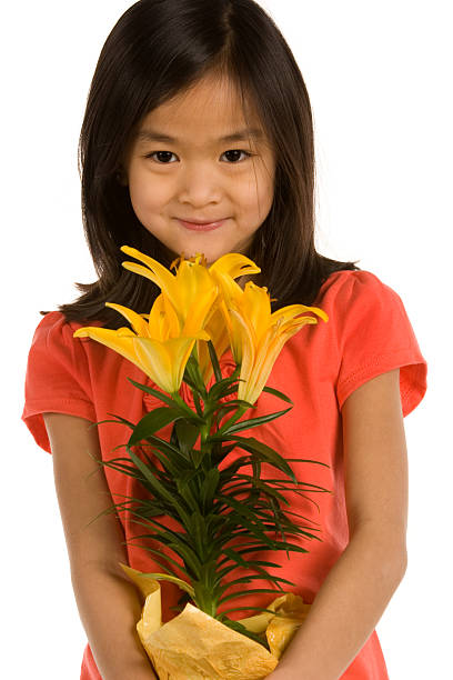 istock Chinese girl holding yellow Lily 182507615