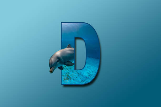 The letter D is embedded with a picture of the animal Dolphin. Great animal background. stock photo