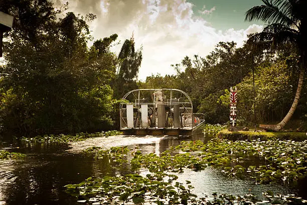 Photo of Air boat glides into the wetlands