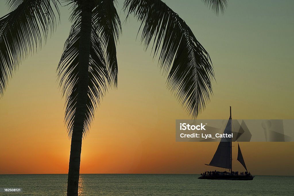 Palma # 3 - Foto stock royalty-free di Giamaica
