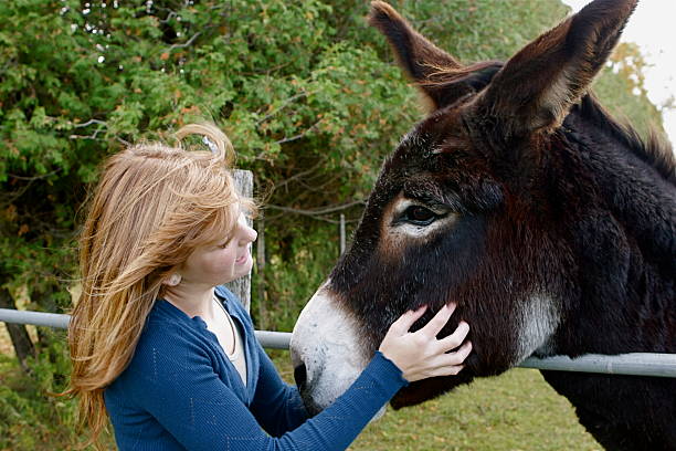 istock Girl Petting Donkey 182508463