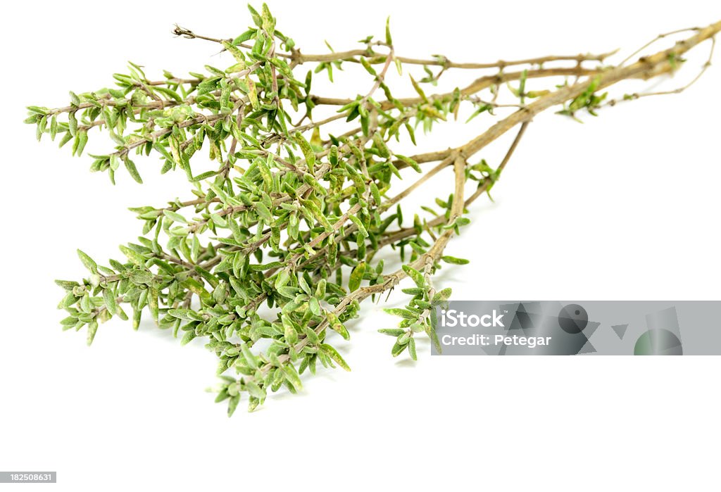 Lemon Thyme - Zbiór zdjęć royalty-free (Lemon Thyme)