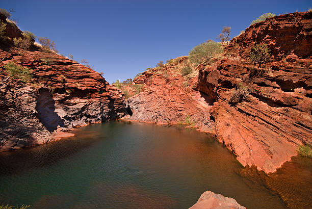 istock Billabong in National Park 182508774