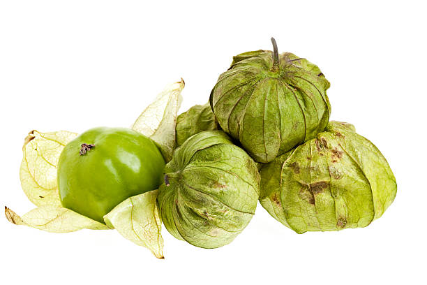 Tomatillo Mexican Tomato "A green Mexican tomato like fruit on a white background. Tomatillos are used in Salsa Verde, Chili  Verde and other Mexican dishes." tomatillo photos stock pictures, royalty-free photos & images