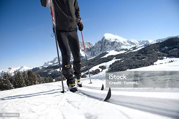 Photo libre de droit de Ski De Fond banque d'images et plus d'images libres de droit de Paire de skis de fond - Paire de skis de fond, Adulte, Alpes européennes