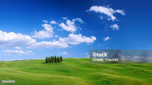 Foto de Paisagem De Ciprestes Verdejantes Entre Campos Verdes e mais fotos de stock de Azul