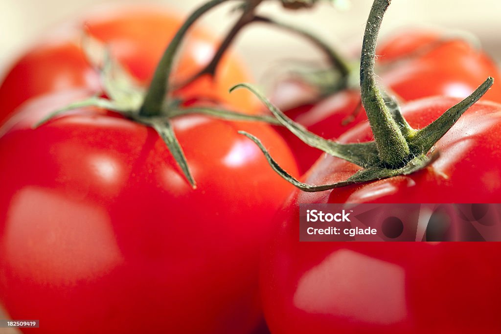 Лоза помидоры крупным планом - Стоковые фото Без людей роялти-фри