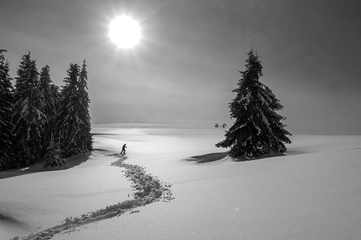 Beautiful winter landscape. Transilvania, Romania