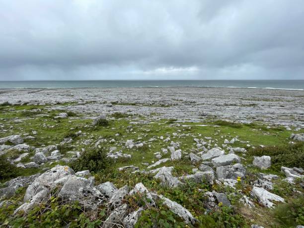 une journée nuageuse à ballyreen ou ballyryan dans la belle région du burren dans le comté de clare - irlande - nobody tranquil scene nature park photos et images de collection