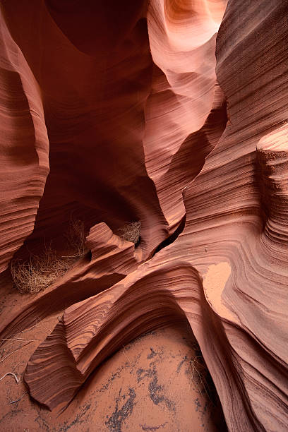 crotale slot canyon formation - rattlesnake photos et images de collection