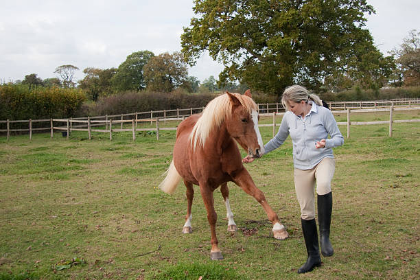 istock young woman teaching her pony tricks 182510658