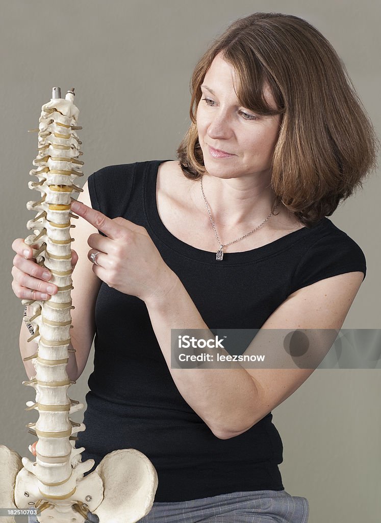 Modelo quiropractico serie de la columna vertebral - Foto de stock de Adulto libre de derechos