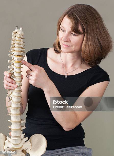 Modelo Quiropractico Serie De La Columna Vertebral Foto de stock y más banco de imágenes de Adulto - Adulto, Ajuste quiropráctico, Asistencia sanitaria y medicina