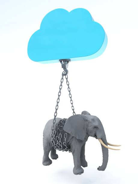 istock 3D Illustration of cloud carrying an elephant concept 1825117899