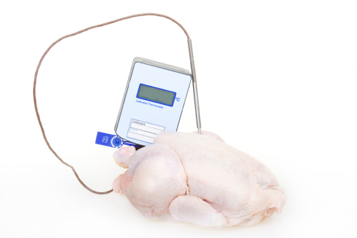 a calibrated thermoneter being used to check the core temperature of a raw chicken. This is a legal requirment of all food handlers in the EU