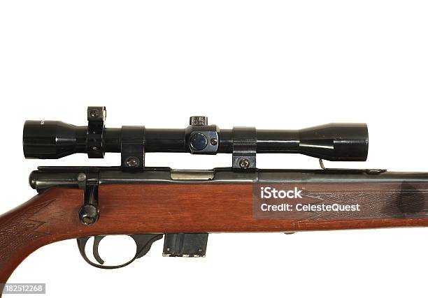 Rifle 22 Magnum Con Alcance Foto de stock y más banco de imágenes de Actividad - Actividad, Arma, Armamento