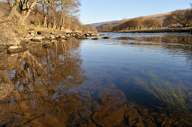 澄み切った海河の dee - dee river river denbighshire wales ストックフォトと画像