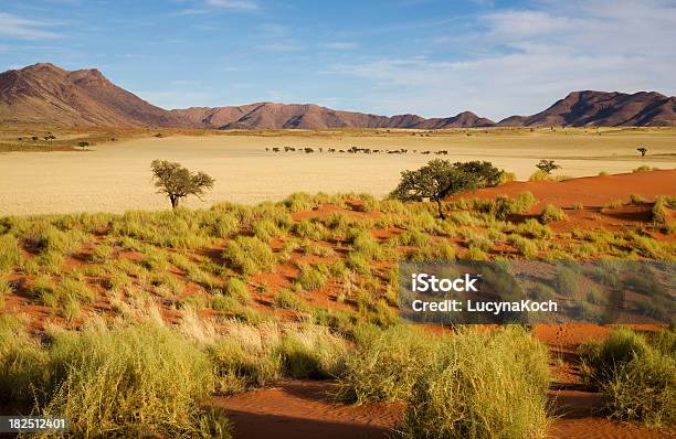 Photo libre de droit de Morgenlicht In Der Wueste banque d'images et plus d'images libres de droit de Afrique - Afrique, Arbre, Aube