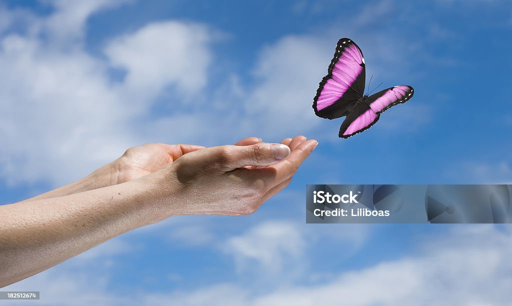 Schmetterling in the Sky - Lizenzfrei Loslassen - Aktivitäten und Sport Stock-Foto