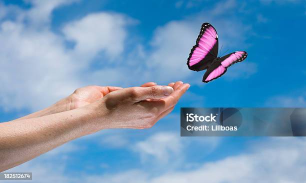 Schmetterling In The Sky Stockfoto und mehr Bilder von Loslassen - Aktivitäten und Sport - Loslassen - Aktivitäten und Sport, Schmetterling, Abheben - Aktivität