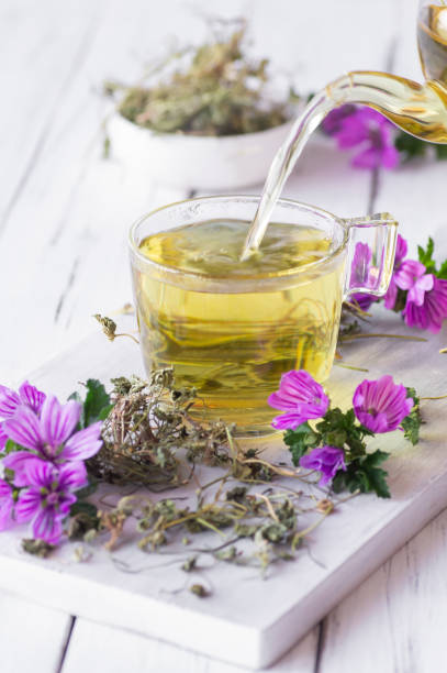 Cup of common mallow tea with fresh blooming malva sylvestris plant on white rustic table, alternative medicine Cup of common mallow tea with fresh blooming malva sylvestris plant on white rustic table, alternative medicine malva stock pictures, royalty-free photos & images