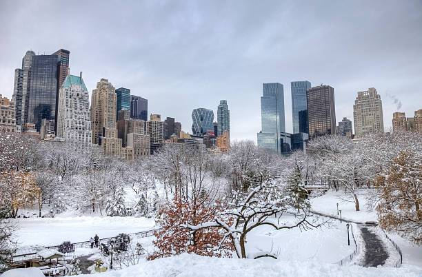blizzard in New York City turns Central Park into a winter wonderland. Photo taken from a scenic viewpoint showing the Manhatten skyline rising from the snow covered  trees. 