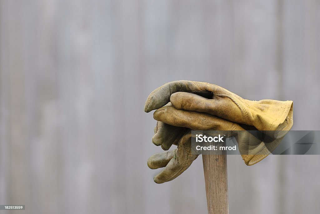 Перчатки сад - Стоковые фото Без людей роялти-фри