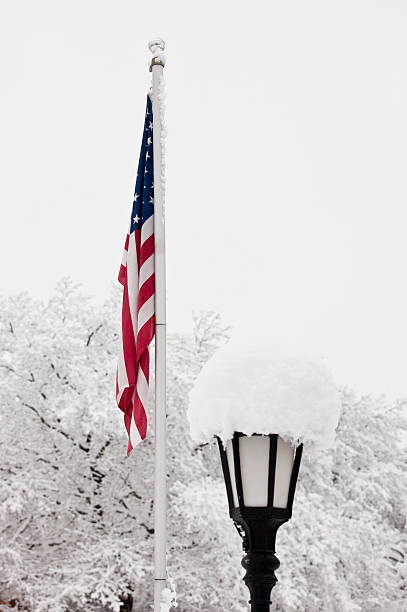 istock United States Flag with Snow/ Ice-covered Pole, trees, Lamp 182513567