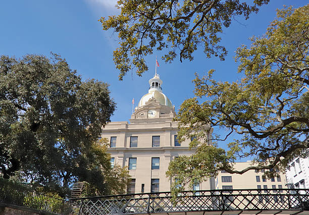 istock City Hall, Savannah 182513737