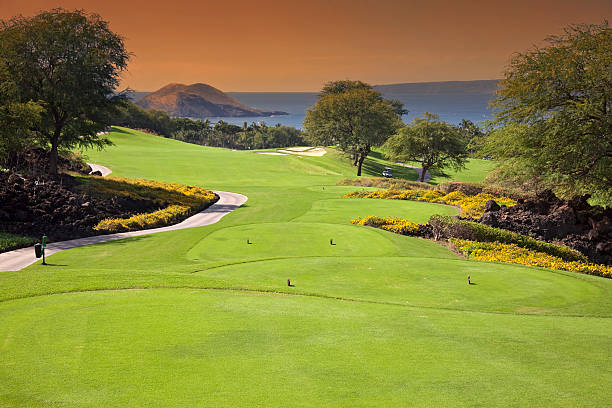 maui golfe scenic - tee box imagens e fotografias de stock