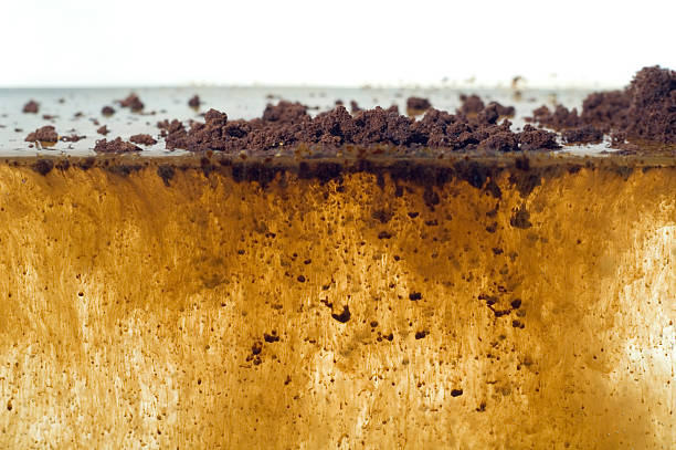 Instant coffee powder dissolving in water