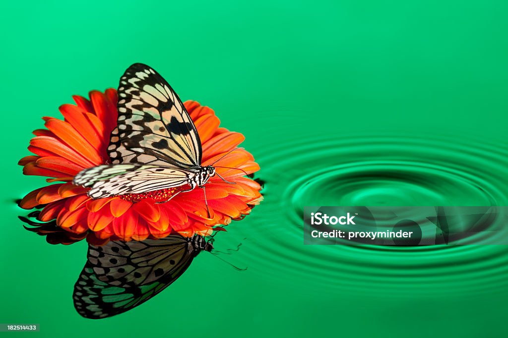 Beauty In Nature - Lizenzfrei Ansicht aus erhöhter Perspektive Stock-Foto
