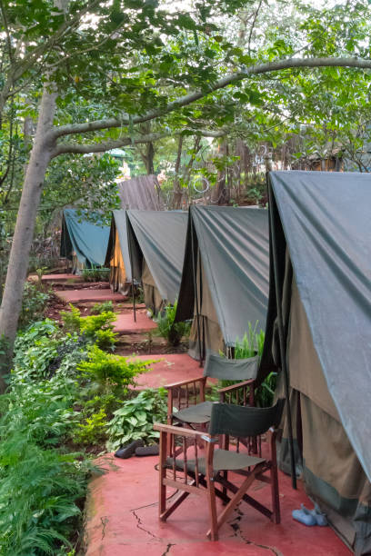 Looking down a row of canvas safari tents
