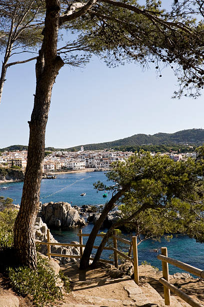 el verano de la costa brava - maresme fotografías e imágenes de stock
