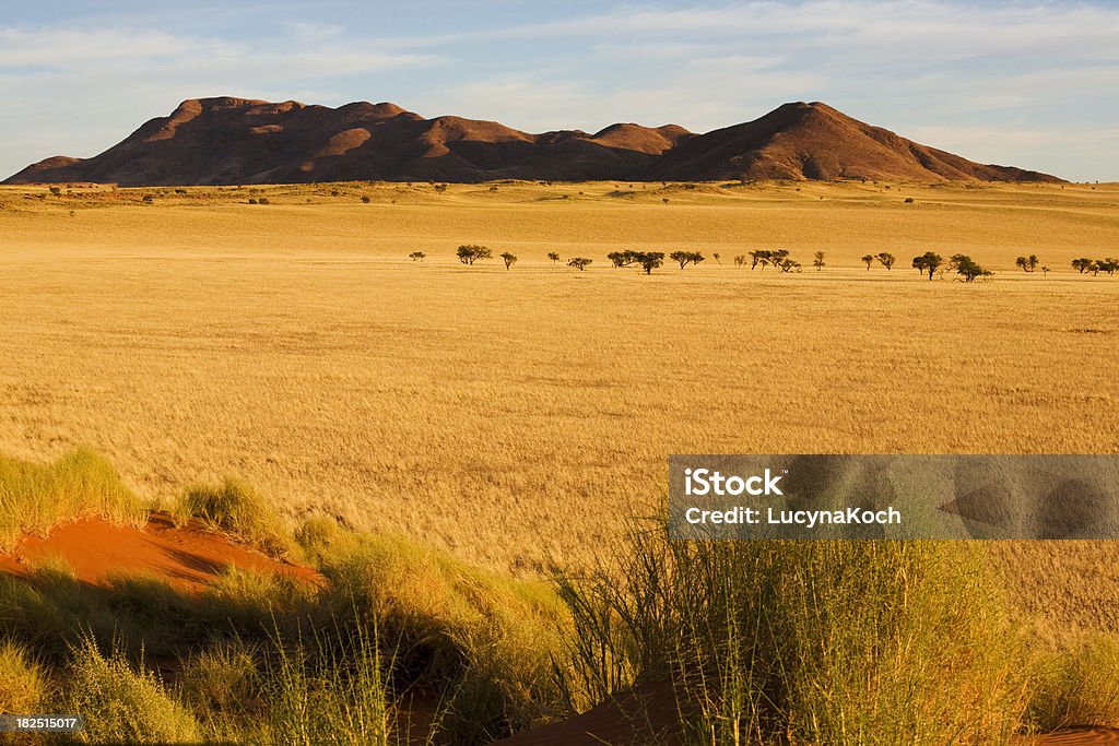 Malerischer Blick auf Naturreservat Namib Naukluft-Park in der Sandwüste in Namibia - Lizenzfrei Afrika Stock-Foto