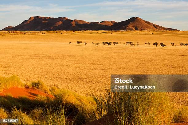 Malerischer Blick Auf Naturreservat Namib Naukluftpark In Der Sandwüste In Namibia Stockfoto und mehr Bilder von Afrika