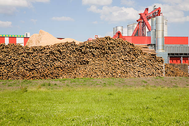 istock Plywood factory 182515033