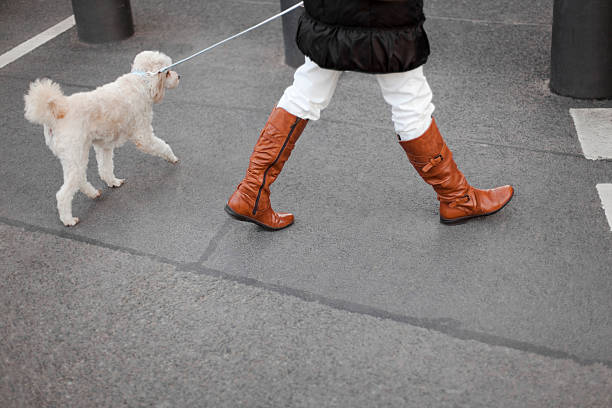 Woman shopping and walking her dog.