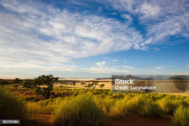 Morgenstimmung Stockfoto und mehr Bilder von Afrika - Afrika, Ausgedörrt, Baum