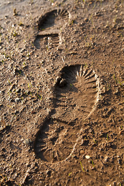 Footprints in the mud stock photo