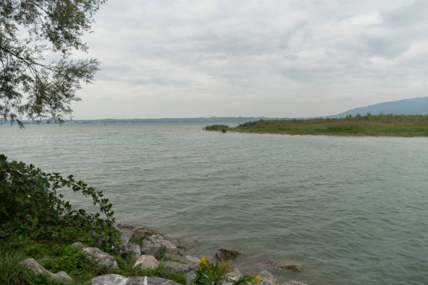 istock Lake of Constance on an overcast day in Bregenz in Austria 1825160199