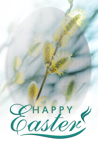 Pussy willow twigs with catkins, Easter eggs and Happy Easter lettering.